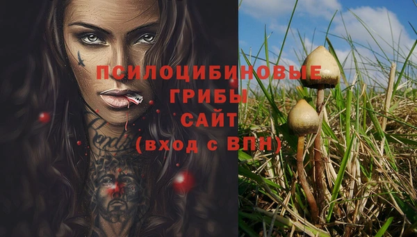 твердый Беломорск