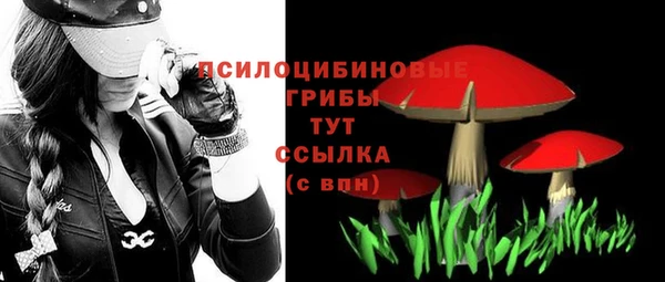 твердый Беломорск