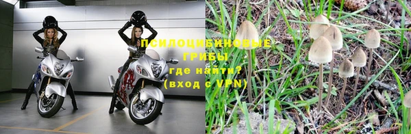 спайс Баксан